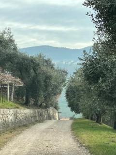 Agriturismo Cascina Capo - 7