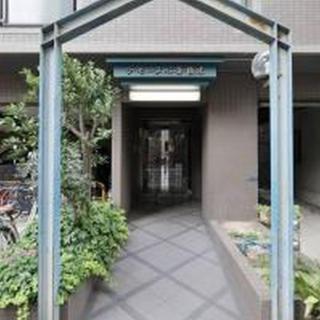 La seine Shinsaibashi 701 ラセーヌ心斎橋 701 - 5