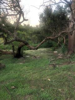Afpak - Barberton - 3