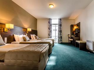 Hôtel Croix des Bretons - Lourdes Pyrénées - Lourdes - 8
