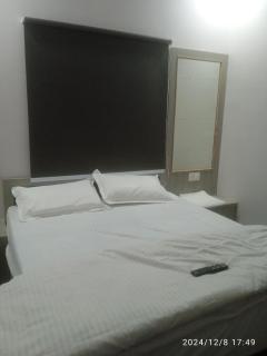 The Bliss Hotel Jaipur - Jaipur - 2