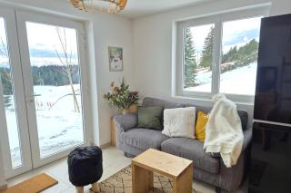 Magnifique appartement vue mont blanc - Les Déserts - 6