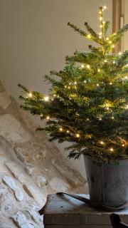 Le Roitelet - Suite d'hôtes privative - 1