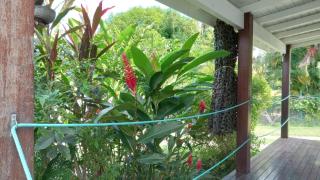 Gîte Cumaru dans jardin tropical Sainte-Anne - Sainte-Anne - 3