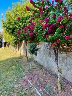 Vrindavan Greens Resort - 7