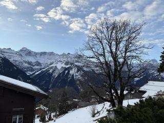 Revier mon désir - Braunwald - 9