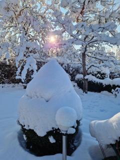 Appartement Bergrose - Hopfgarten im Brixental - 8