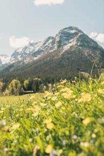 Kaltbachlehen Ferienwohnungen - Ramsau - 8