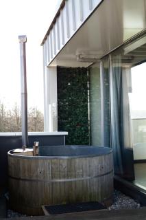 Luxe Wellness Suite Zaandam - Amsterdam - Zaandam - 6