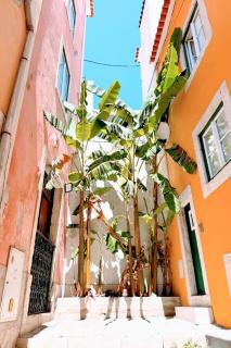 Amazing flat in the center - Lissabon - 9