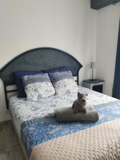 Jetez l'ancre, gîte La Tremblade - 4