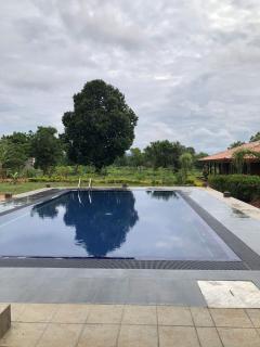 Tiara Elephant Lodge - Habarana - 1