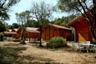 Chalet - Piscine - ef0aae - Porto-Vecchio - 8