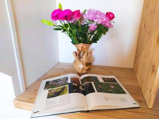 Ecogite de l'adonis - 6