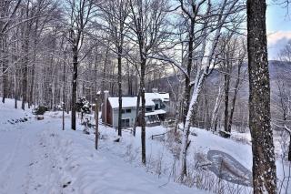 Mountainview Escape home - Killington - 6