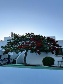 Casa María - Tías - 7