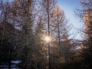DUST AND SNOW - Sulle Piste da Sci di Pila - Pila - 7