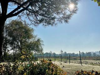 La Goronière - Superbe Charentaise rénovée - 2 logements - Piscine chauffée - 8