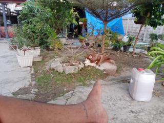 บ้านริมเขา - Ban Sa - 1