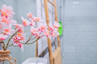 Miladiou studio - Périgueux - 6