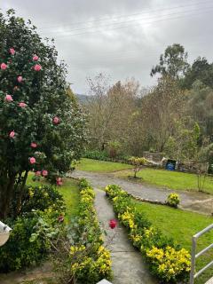 Alojamiento CasAmalia -  - 5