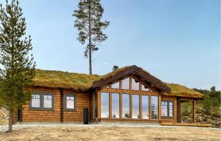 Amazing Home In Koppang - Koppang - 9