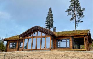 Amazing Home In Koppang - 1