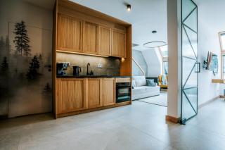 VisitZakopane Alpejski DeLuxe Apartment - Kościelisko - 1