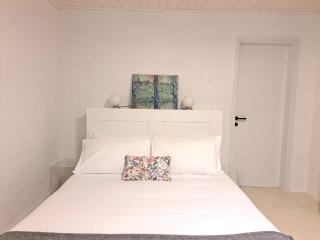 Casa tra le Vigne by Quokka 360 - flat with magnificent vineyard view - Giubiasco - 1