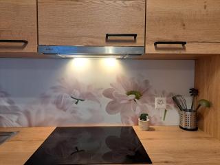 Casa tra le Vigne by Quokka 360 - flat with magnificent vineyard view - Giubiasco - 5