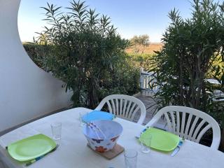 Port Camargue, T2 climatisé, terrasse, parking, animaux admis - FR-1-250-219 - Le Grau-du-Roi - 5