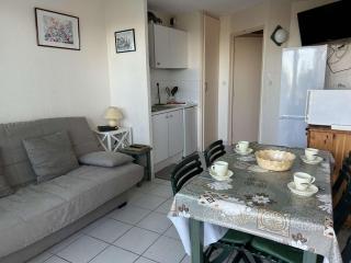 Port Camargue, T2 climatisé, terrasse, parking, animaux admis - FR-1-250-219 - Le Grau-du-Roi - 3