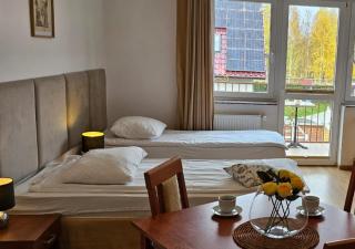 Letnia willa Jacuzzi & Sauna - 9