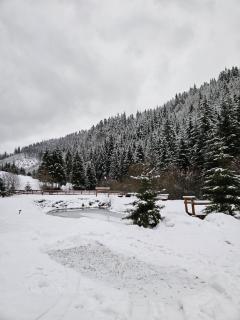 Silent Serenity Mountain Cabin - Bălan - 8