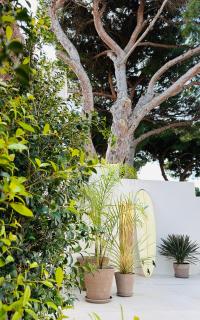 Casa ad Mare Trafalgar - Los Caños de Meca - 6