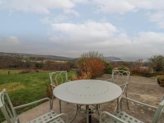 Ceunant - Newport - 9