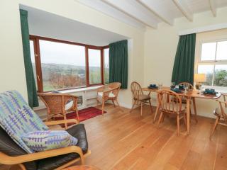 Ceunant - Newport - 5