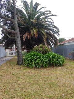 Casa familiar cerca del mar y del centro - 9