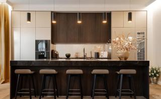 OLD TOWN LUXURY 3bd APARTMENT - 5