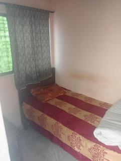 Ever Green Guest House Travel & PG - New Delhi - 4