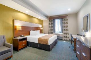 Best Western Plus Gardena-Los Angeles Inn & Suites - Gardena - 5