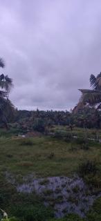 Lanka - Ernakulam - 2