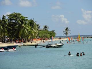 Urban-Oasis - Sainte-Anne - 7