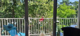 Appartement Arcachon - Arcachon - 0