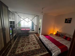 Steluta cozy studio - 0