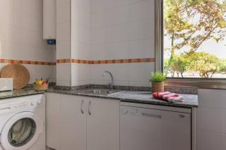 FGDR341D "El Cocodrilo" - 3