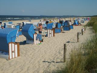 Wellenrauschen - strandnah- - Karlshagen - 1