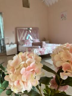 Alojamiento en Lago Calima, chalets de montaña con piscina y jacuzzi - 3