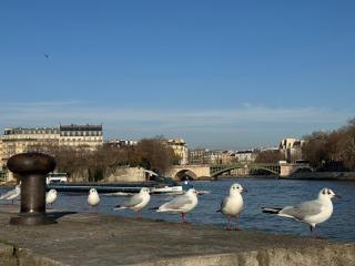 NEW Private apartment Paris city center - Les Arènes Pantheon Notre-Dame Jussieu Jardin des Plantes Quai de Seine - 2