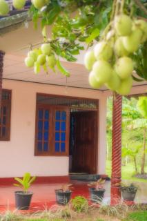 TripSila - Kamburugamuwa, Mirissa - Matara - 1